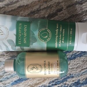 BBW Eucalyptus and Spearmint Set